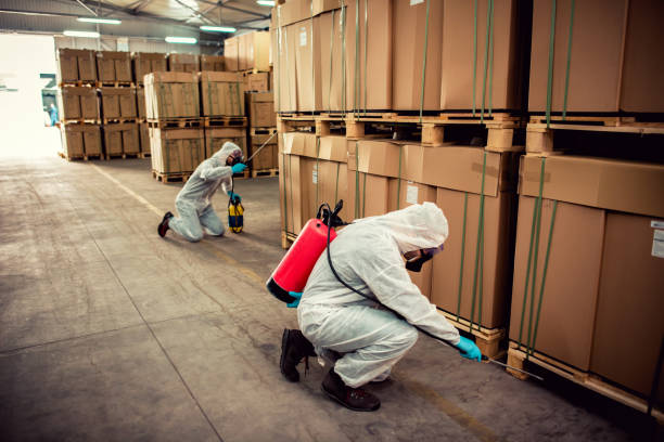 Best Rat Extermination Near Me  in Lakeland, NY
