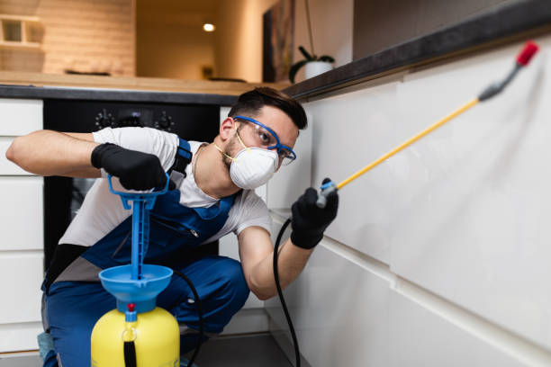 Best Affordable Pest Control Services  in Lakeland, NY
