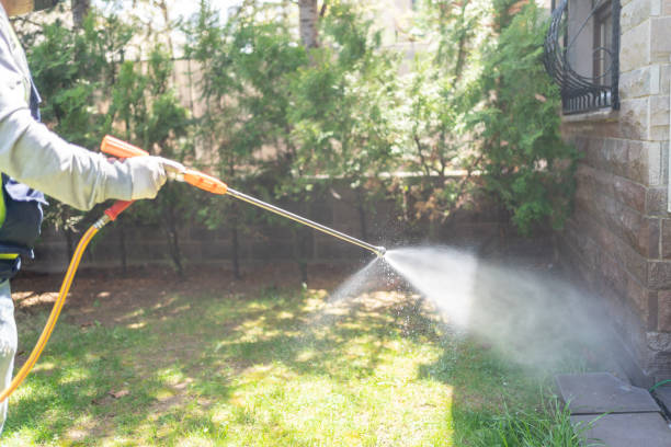 Best Flea Control Services  in Lakeland, NY